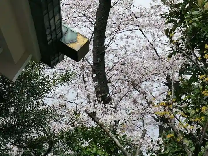 深澤神社の自然