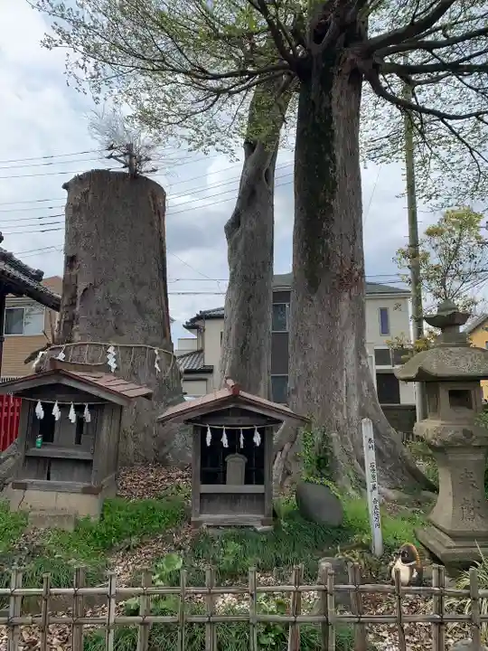 八枝神社(埼玉県)