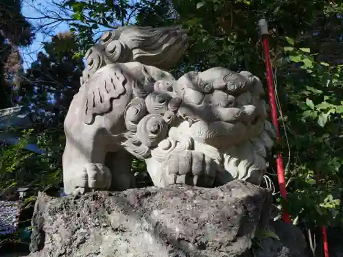 渋川八幡宮の狛犬