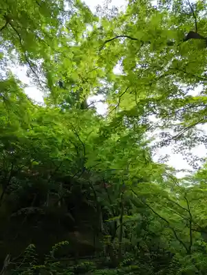 北野天満宮(京都府)