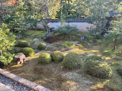 大雄院の庭園