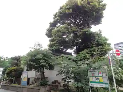 池袋水天宮の周辺