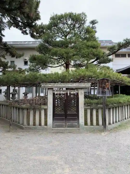 高砂神社の{uncategorized: "未分類", other: "その他", undefined: "問題あり", building: "その他建物", grave: "お墓", sacred_gate: "鳥居", guardian: "狛犬", statue: "像", buddha: "仏像", history: "歴史", nature: "自然", garden: "庭園", animal: "動物", pagoda: "塔", temizu: "手水舎", mountain_gate: "山門・神門", sanctuary: "本殿・本堂", subordinate: "末社・摂社", art: "芸術", scenery: "景色", jizo: "地蔵", ema: "絵馬", goshuin: "御朱印", omikuji: "おみくじ", items: "授与品その他", amulet: "お守り", goshuincho: "御朱印帳", eats: "食事", festival: "お祭り", votive_dance: "神楽", shichigosan: "七五三参", wedding: "結婚式", experience: "体験その他", initially: "初詣", around: "周辺", anti_infection: "感染症対策"}