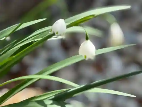 西方山極楽寺(岐阜県)