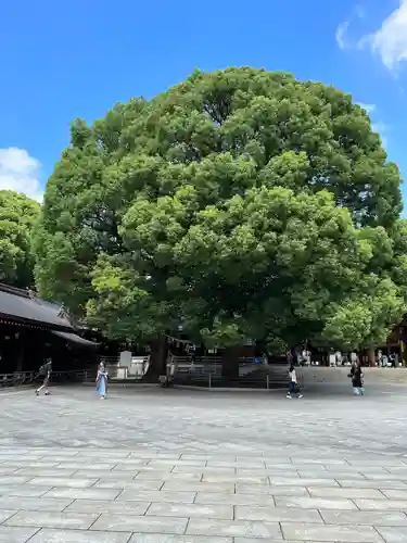 明治神宮(東京都)