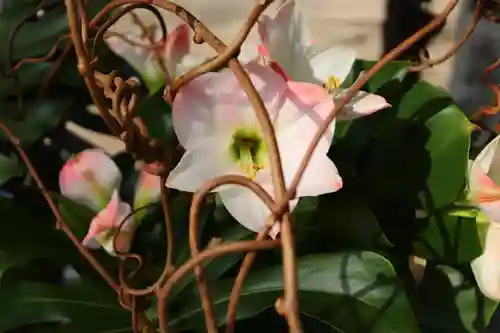 三津厳島神社(愛媛県)