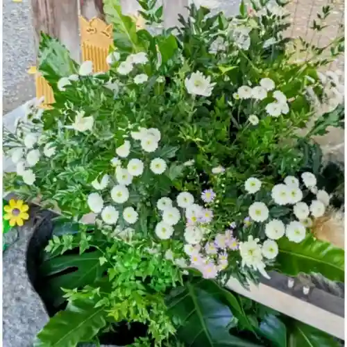 彌彦神社　(伊夜日子神社)(北海道)