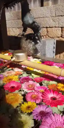 山﨑八幡宮の手水舎