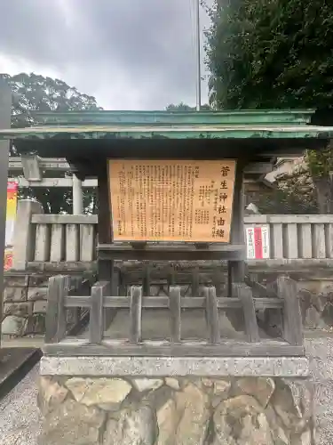 菅生神社(愛知県)