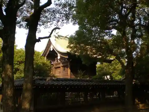 飛幡八幡宮の本殿