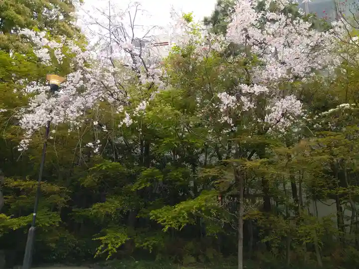晴明神社(京都府)