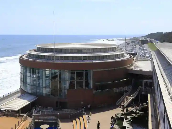 酒列磯前神社の{uncategorized: "未分類", other: "その他", undefined: "問題あり", building: "その他建物", grave: "お墓", sacred_gate: "鳥居", guardian: "狛犬", statue: "像", buddha: "仏像", history: "歴史", nature: "自然", garden: "庭園", animal: "動物", pagoda: "塔", temizu: "手水舎", mountain_gate: "山門・神門", sanctuary: "本殿・本堂", subordinate: "末社・摂社", art: "芸術", scenery: "景色", jizo: "地蔵", ema: "絵馬", goshuin: "御朱印", omikuji: "おみくじ", items: "授与品その他", amulet: "お守り", goshuincho: "御朱印帳", eats: "食事", festival: "お祭り", votive_dance: "神楽", shichigosan: "七五三参", wedding: "結婚式", experience: "体験その他", initially: "初詣", around: "周辺", anti_infection: "感染症対策"}