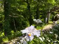 白山神社(福井県)
