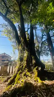 九手神社(京都府)