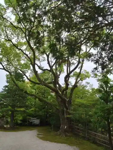 黒髪神社(佐賀県)