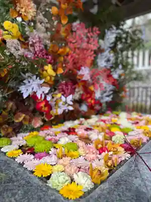 金蛇水神社(宮城県)
