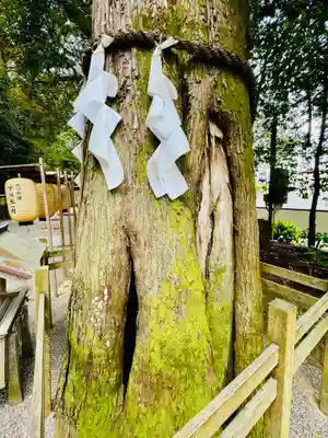 石上神宮(奈良県)