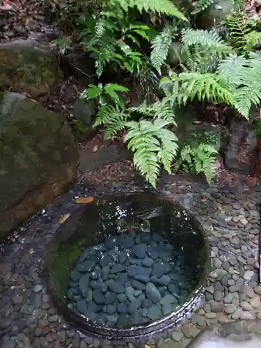 明治神宮(東京都)