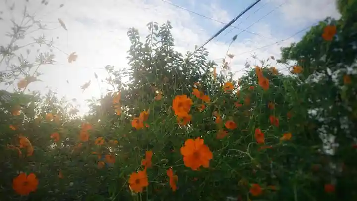 尾張大國霊神社(国府宮)の周辺
