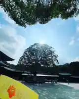 明治神宮(東京都)