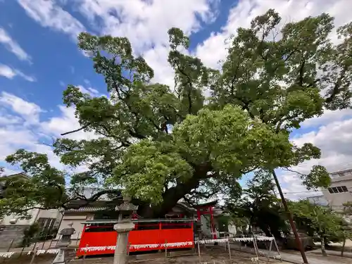 龍田神社(奈良県)