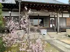 日蓮宗　本松寺の本殿