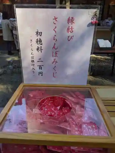 赤坂氷川神社のおみくじ