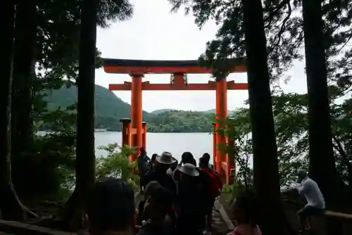 箱根神社の鳥居