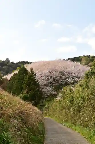 熊野神社(愛媛県)