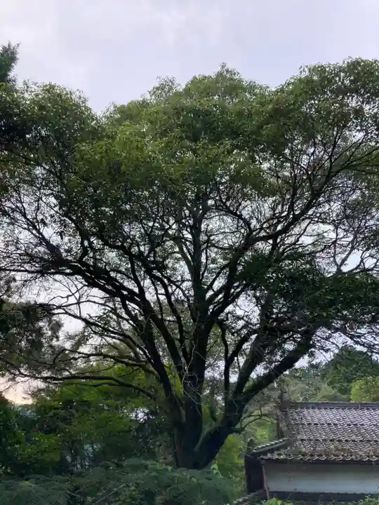 補陀落寺のその他建物