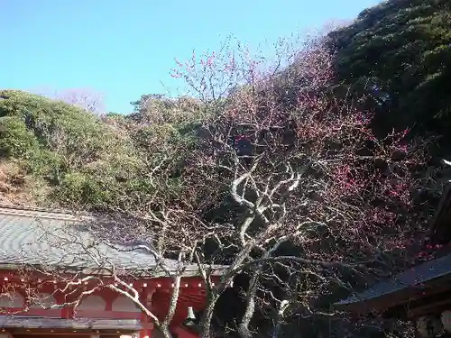 荏柄天神社のその他建物