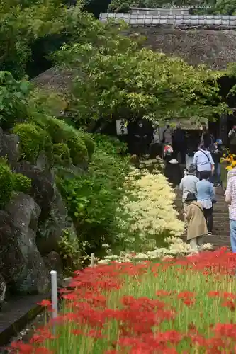 横浜　西方寺(神奈川県)