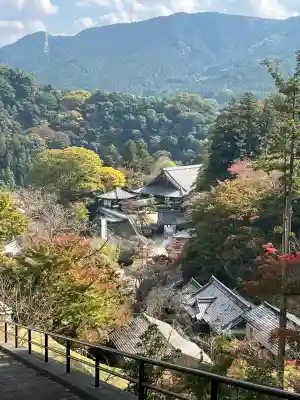 長谷寺(奈良県)