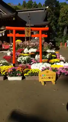 水戸八幡宮の鳥居