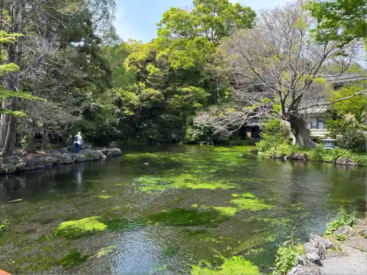 富士山本宮浅間大社(静岡県)