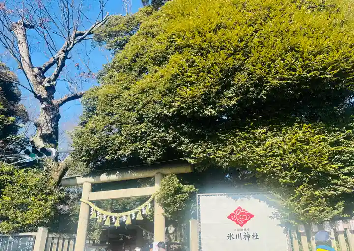 川越氷川神社(埼玉県)