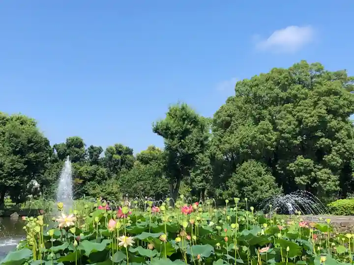 大國魂神社の周辺