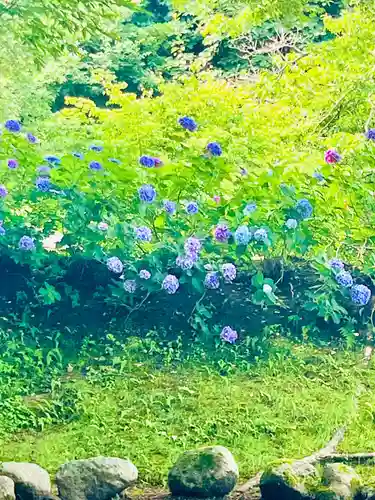 普門寺(岩手県)