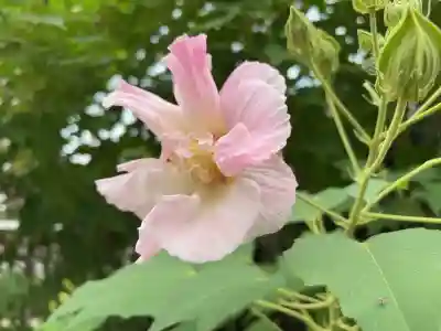 幸國寺(東京都)