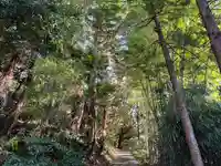 大國魂神社の自然