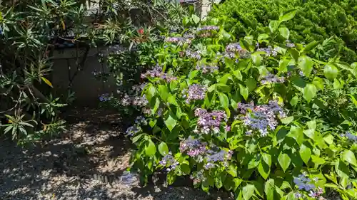 上宮王院聖徳寺(京都府)