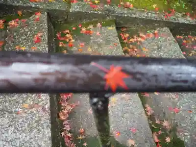 円成寺の{uncategorized: "未分類", other: "その他", undefined: "問題あり", building: "その他建物", grave: "お墓", sacred_gate: "鳥居", guardian: "狛犬", statue: "像", buddha: "仏像", history: "歴史", nature: "自然", garden: "庭園", animal: "動物", pagoda: "塔", temizu: "手水舎", mountain_gate: "山門・神門", sanctuary: "本殿・本堂", subordinate: "末社・摂社", art: "芸術", scenery: "景色", jizo: "地蔵", ema: "絵馬", goshuin: "御朱印", omikuji: "おみくじ", items: "授与品その他", amulet: "お守り", goshuincho: "御朱印帳", eats: "食事", festival: "お祭り", votive_dance: "神楽", shichigosan: "七五三参", wedding: "結婚式", experience: "体験その他", initially: "初詣", around: "周辺", anti_infection: "感染症対策"}