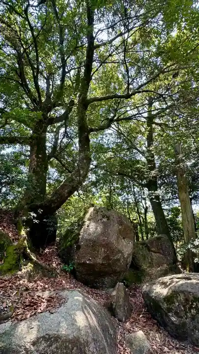 大聖院弥山本堂(広島県)