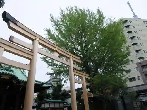 牛嶋神社の鳥居