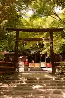 野宮神社(京都府)