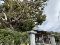 海福寺のその他建物