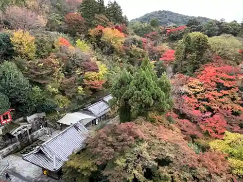 清水寺の景色