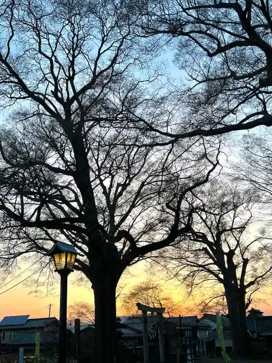 白鳥神社(長野県)