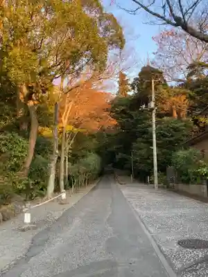 妙本寺(神奈川県)