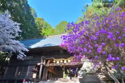 河口浅間神社(山梨県)